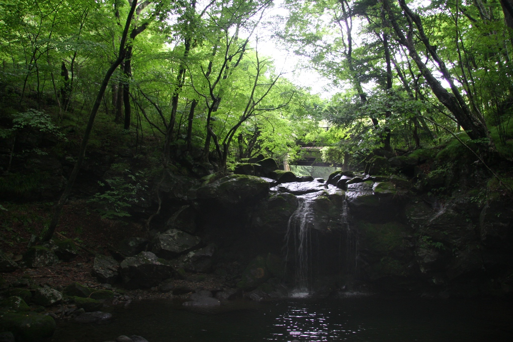 e0118274_2121155.jpg
