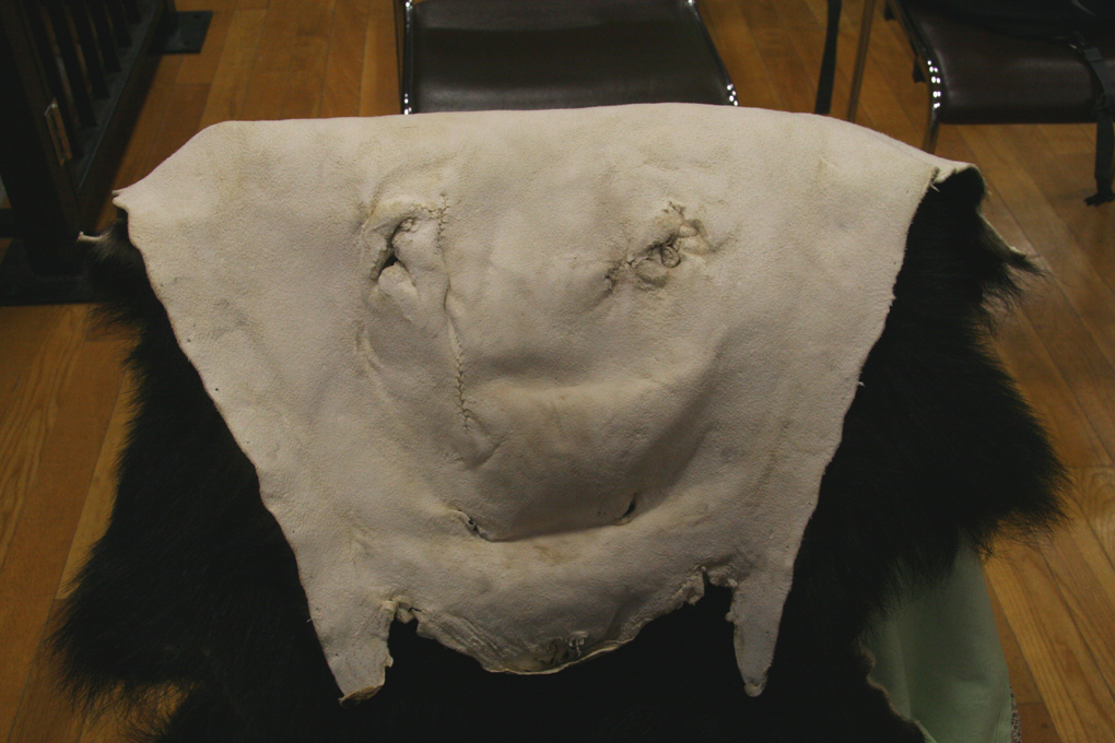 e0118274_2131527.jpg