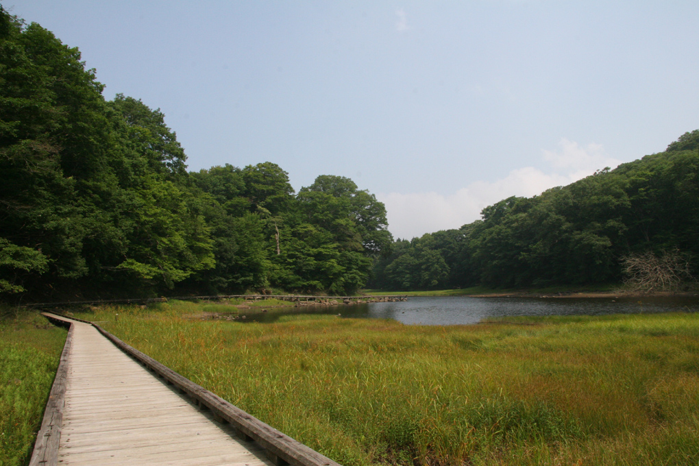 e0118274_21356.jpg