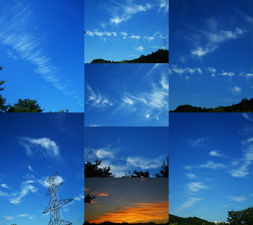 d0054076_951535.jpg