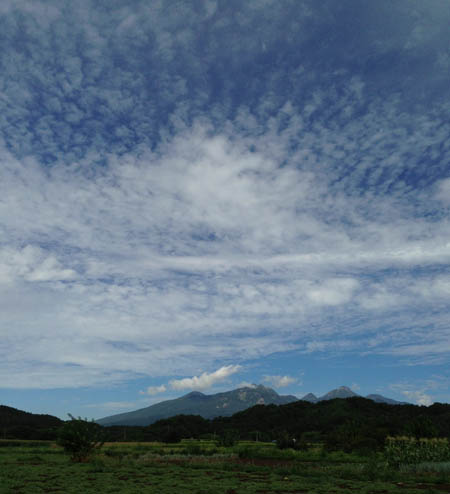 f0054977_82724100.jpg