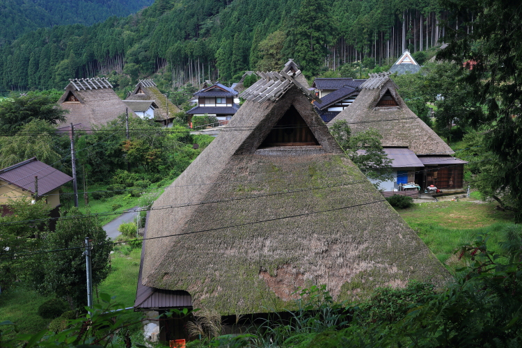 e0051888_601764.jpg