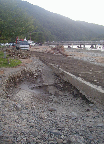d0053294_0481451.jpg