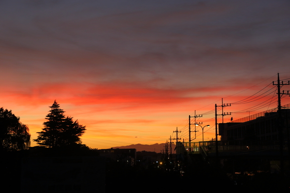 b0275998_9161420.jpg