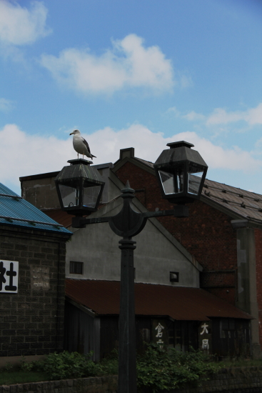c0129498_14281626.jpg