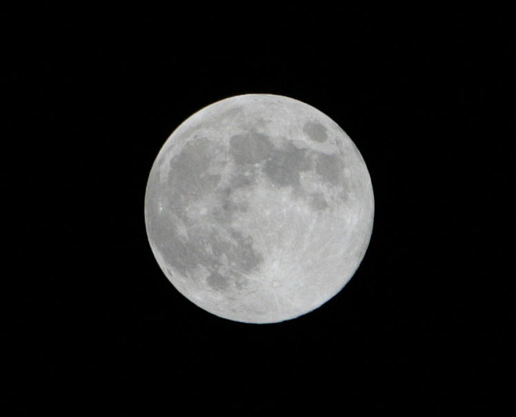 d0166303_21333346.jpg