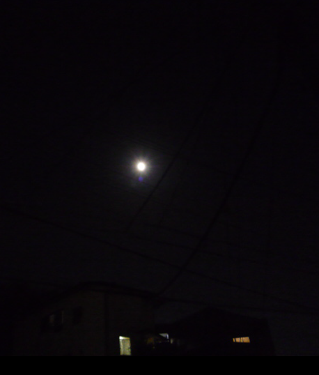 f0250403_21265674.png