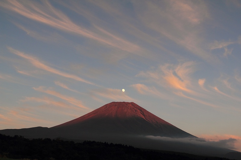 a0188405_1547948.jpg