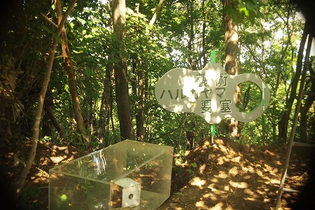 c0202705_2123172.jpg