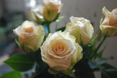 e0128909_792077.jpg