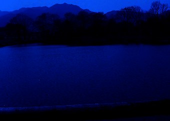 e0099212_2117483.jpg