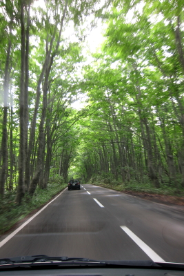 e0133025_2211524.jpg