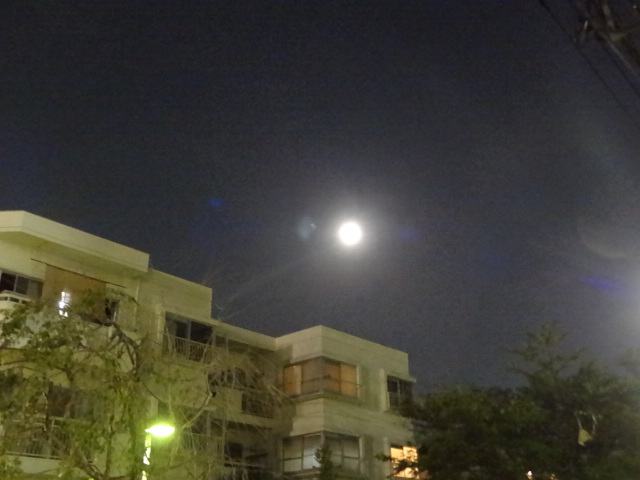 e0016828_12214826.jpg