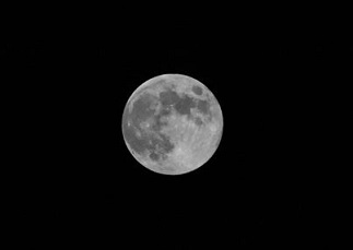 c0051529_2245564.jpg