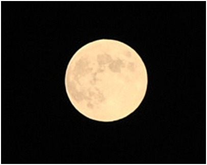 d0017632_2326325.jpg