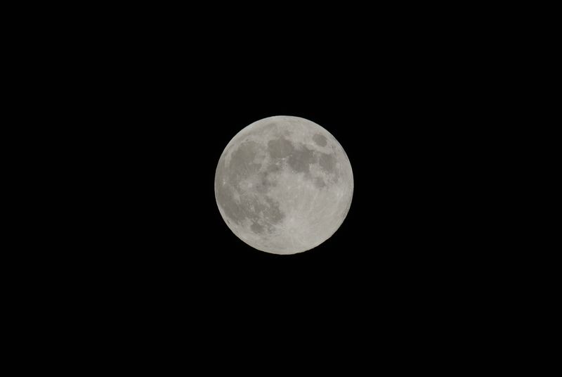 e0089232_1932115.jpg