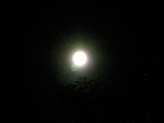 e0247832_23322674.jpg