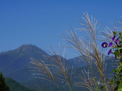 a0305533_14333450.jpg