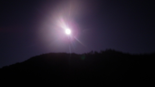 c0300035_20503496.jpg