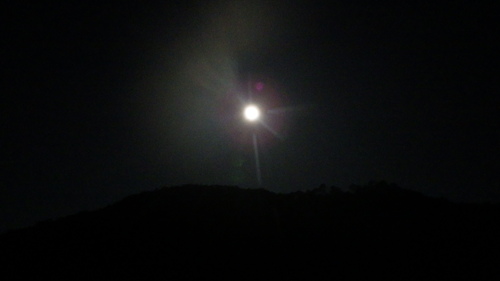c0300035_2053938.jpg