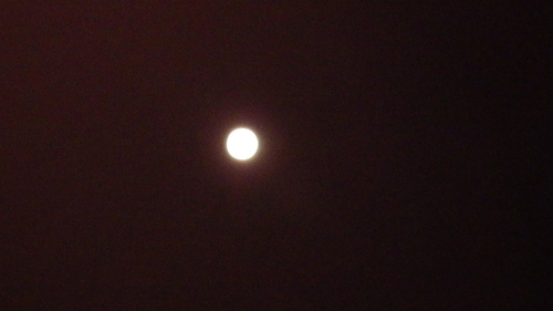 c0300035_21132659.jpg