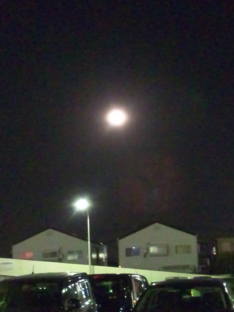 d0244839_22385813.jpg