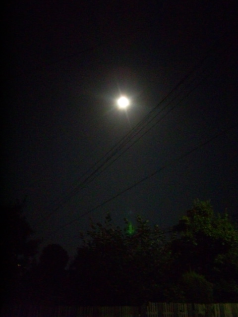 d0244839_22403216.jpg