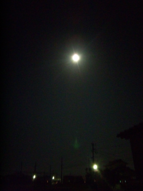 d0244839_22431120.jpg