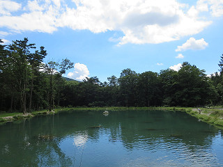 f0065341_1429305.jpg
