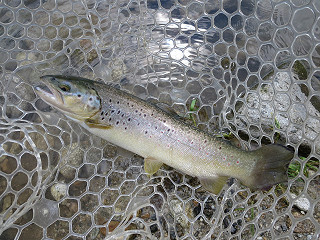 f0065341_14312293.jpg
