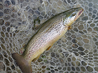 f0065341_14325246.jpg