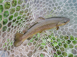 f0065341_14474771.jpg