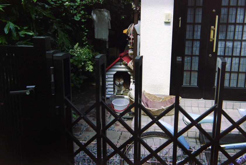 d0089742_22322427.jpg