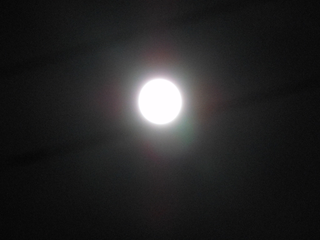 c0122744_20415238.jpg