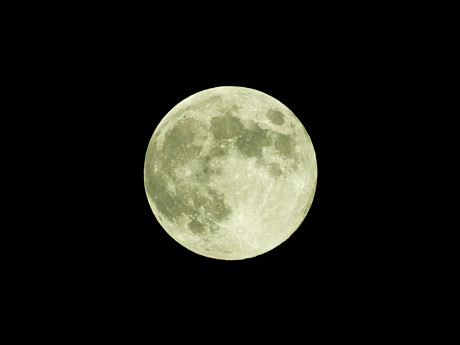 c0057946_21103442.jpg
