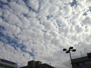 f0179947_0455851.jpg