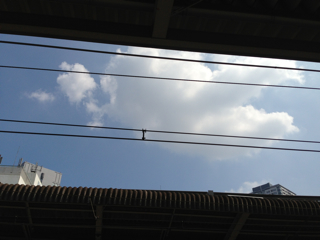 f0179947_0461485.jpg
