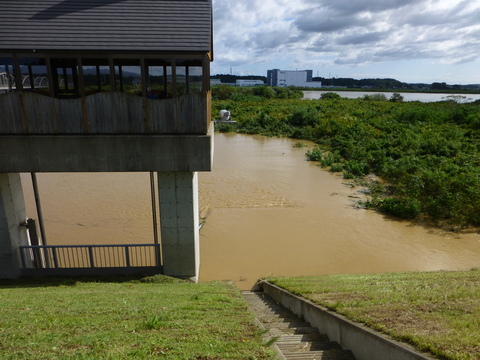 b0238249_20395773.jpg