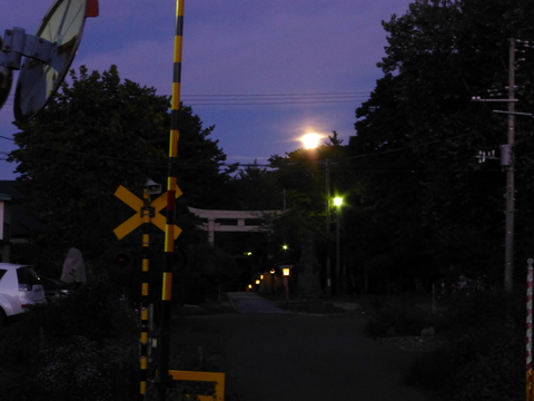 b0238249_20465897.jpg