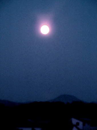 f0178153_19502320.jpg