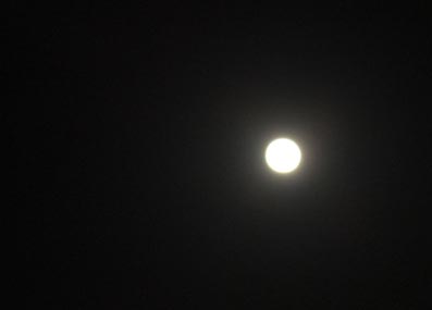 b0059664_20313629.jpg