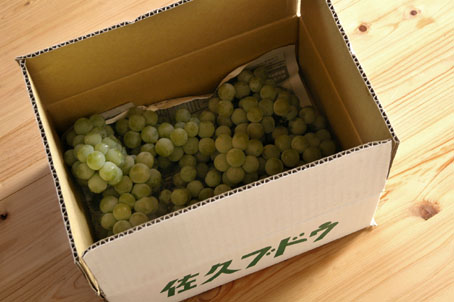 b0075364_1944888.jpg
