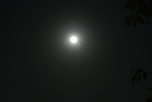 b0141664_232228.jpg