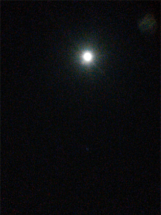 d0169072_2362692.jpg
