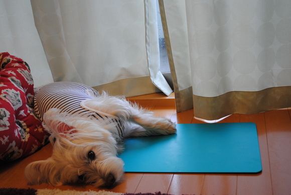 b0242873_0151330.jpg