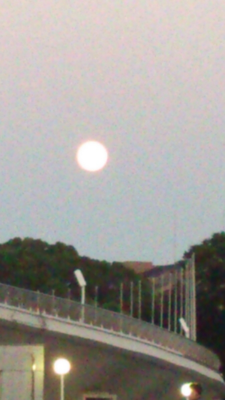 b0246876_22501597.jpg