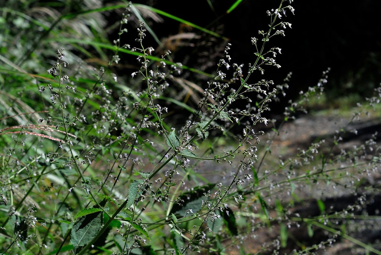 d0328977_23201291.jpg