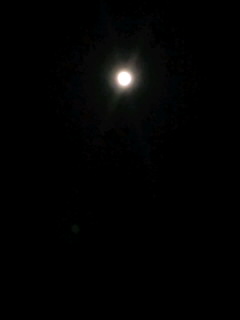c0228378_2135585.jpg