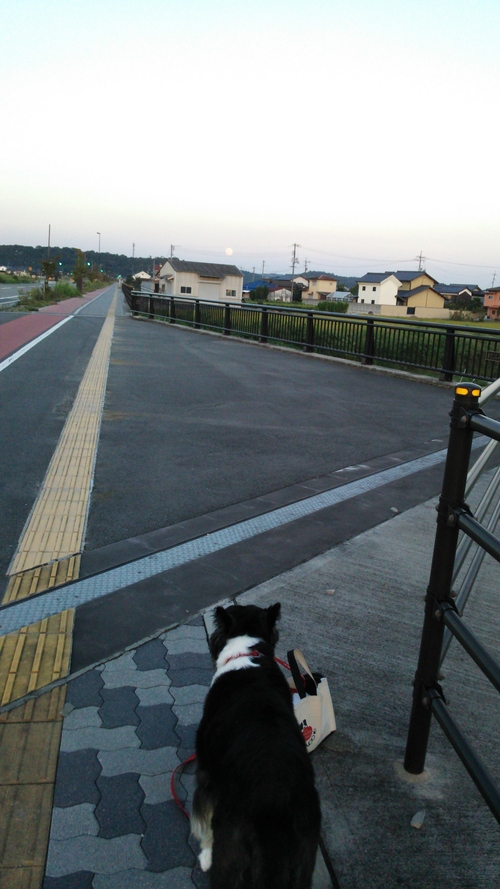 c0120585_1954371.jpg
