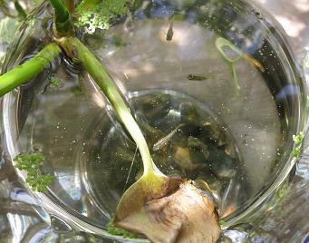 e0130185_14222079.jpg